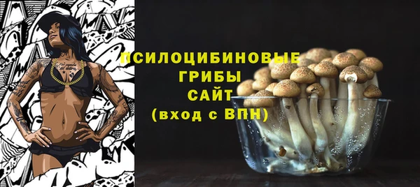 прущая мука Абаза